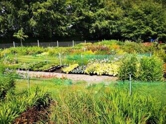 Largest Retail and Wholesale Horticultural Nursery in Wales Photo 5