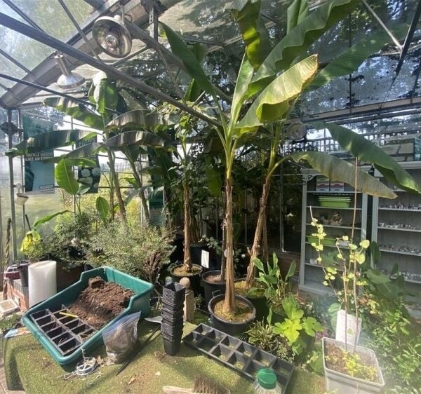 Garden Centre & Horticulture For Sale in Crewe Photo 5