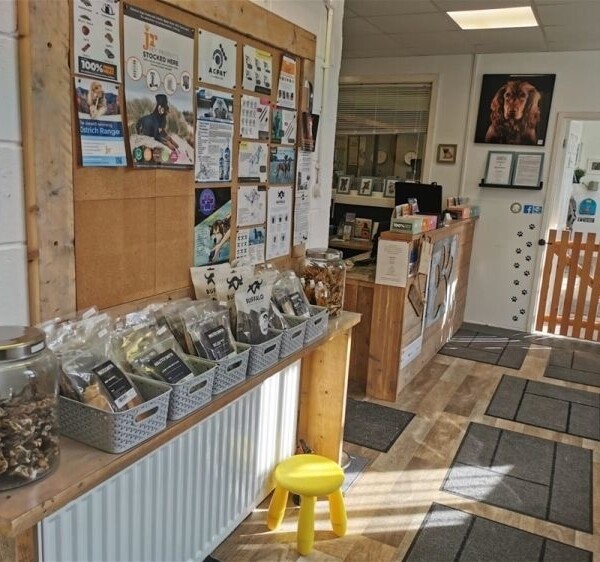 Leading Canine Hydrotherapy Centre based in Huddersfield Photo 5