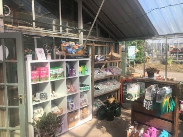 Leasehold Café/Restaurant & Garden Centre Located In St Tudy Photo 5