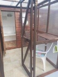 Cattery - Weston Super Mare Photo 5