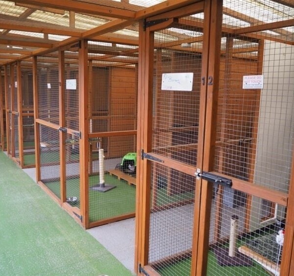 Kennels, Cattery & Equestrian businesses For Sale in Scunthorpe Photo 5