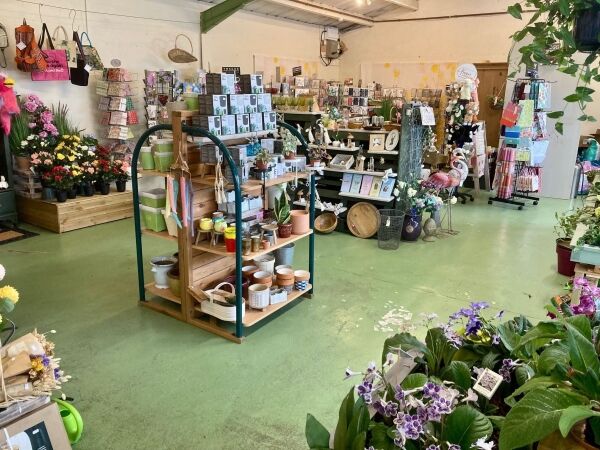 GARDEN CENTRE & CAFE Photo 5
