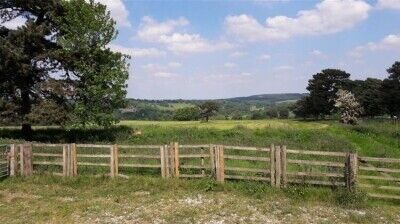 Delightful 5 Star Rated Licensed Boarding Kennels & Cattery - South Yorkshire Photo 5