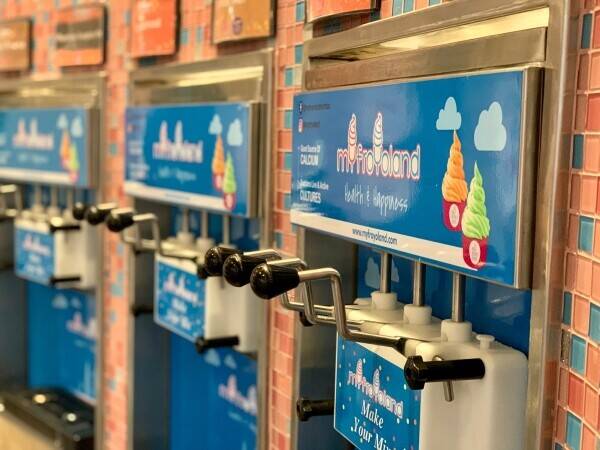Famous Frozen Yogurt Parlour Photo 5