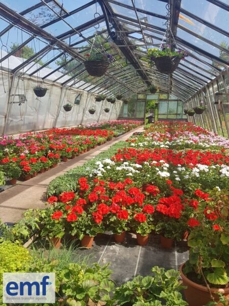 WHOLESALE PLANT NURSERY Photo 5