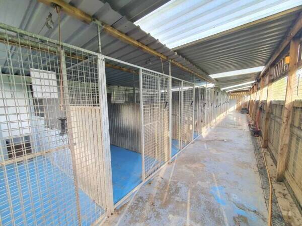 A wonderfully located kennels for sale Photo 5
