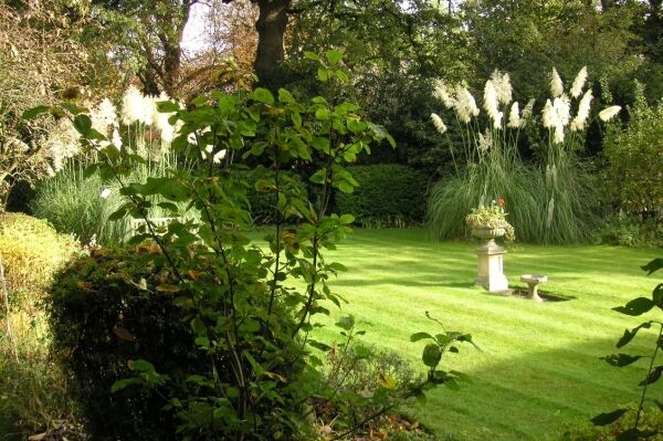 Garden Maintenance - West London Photo 5