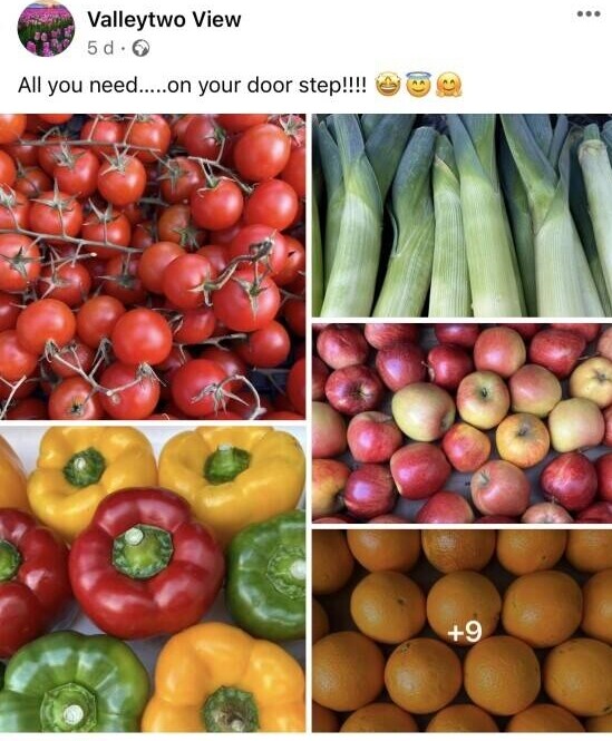 Fruit & Convenience Store Photo 4