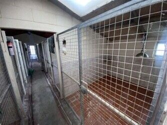Kennels, Cattery & Equestrian businesses For Sale in Colne Photo 5