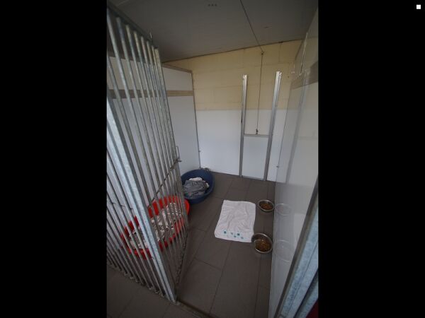 Well Established Boarding Kennels For Sale Photo 5
