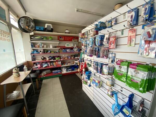 Long-Established & Thriving Cattery With Accommodation In Affluent Suburb of SW London Photo 5