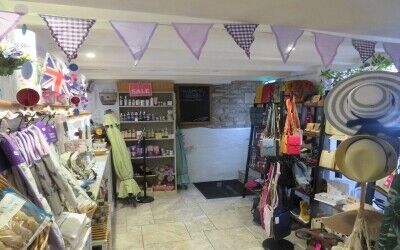 Thriving Local Tea Room/ Café Photo 5