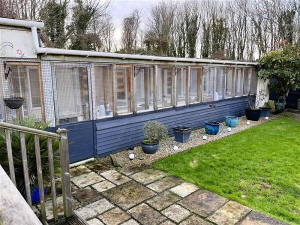 5* Cattery - Cornwall Photo 5