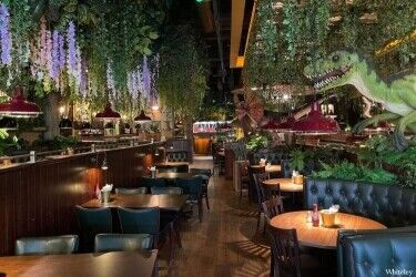 Four Themed Restaurants - Nationwide Photo 5