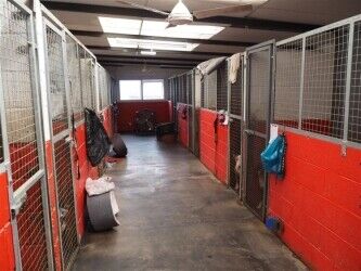 Kennels, Cattery & Equestrian businesses For Sale in Leeds Photo 5