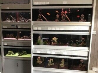 Well established aquatic pet shop for sale Photo 5