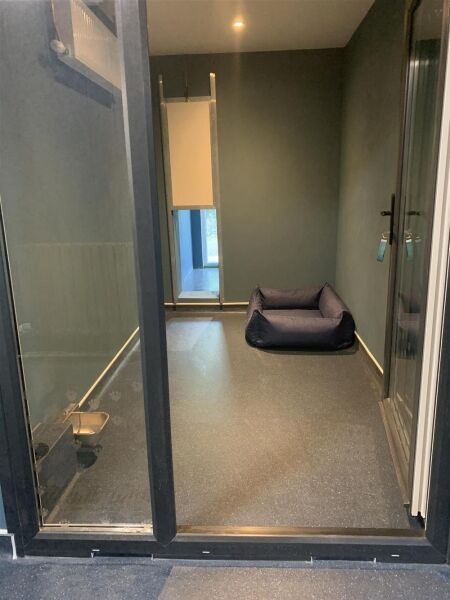 Luxury Boarding Kennels - Pembrokeshire Photo 5