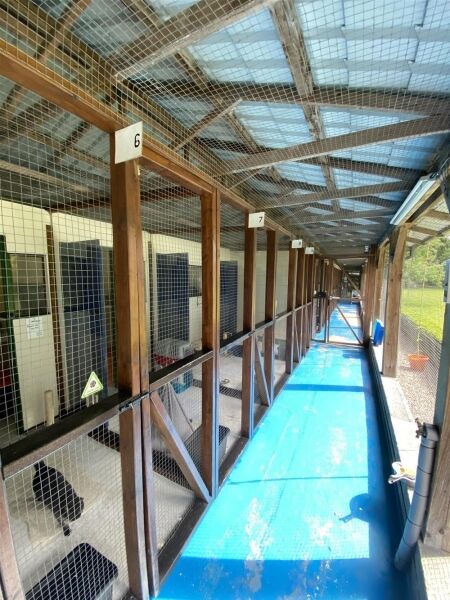 Luxury Cattery  with an impressive detached house plus 2 bed letting cottage (licensed for 44 cats) Photo 5