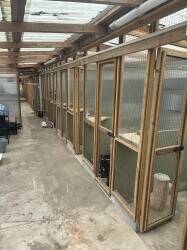 Very Well-known Family Run Cattery Business Photo 5