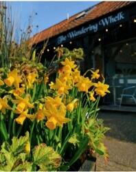 Family-owned Cafe/Shop for sale in picturesque North Norfolk Town of Holt Photo 5