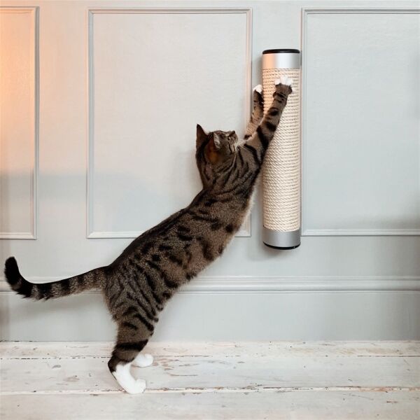 WELLNESS-FOCUSED CAT FURNITURE BRAND Photo 5