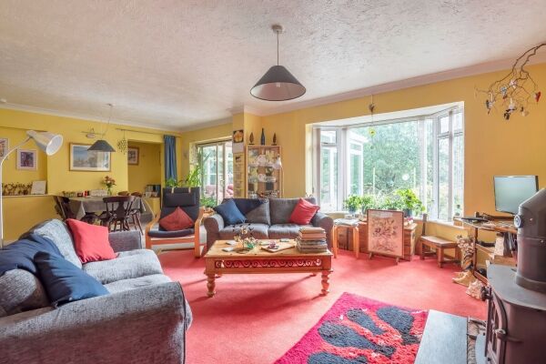 CATTERY PLUS HOME WITH AN INCOME Photo 5
