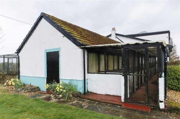 Closed Licensed Boarding Kennels - Carnwath, Lanark, Scotland Photo 5