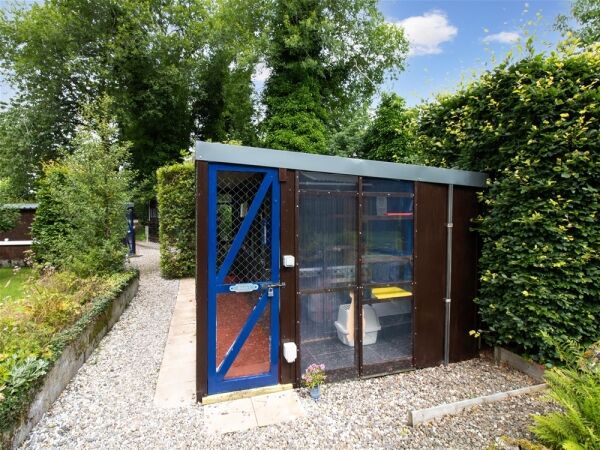 Copperfield Cattery Photo 5