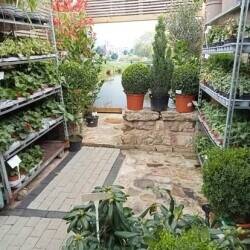 HUGELY POPULAR, GIFT STORE & GARDEN CENTRE, WARSOP ‘FOR SALE’ Photo 5