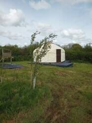 Natural meadow campsite Photo 5
