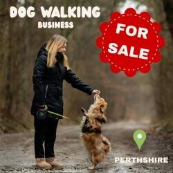 Dog walking business Perthshire
