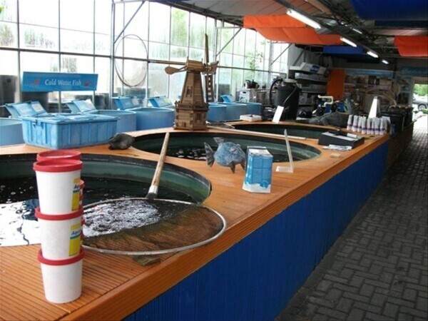 Garden Centre - Sherfield-on-Lodden Photo 6