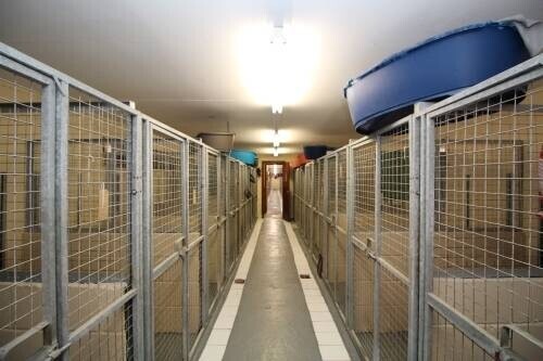 Boarding Kennels for sale in Glasgow Photo 6