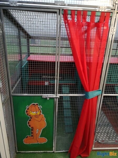 Cattery (Largest on Anglesey), stables, 4 Bed home, Static caravan and paddocks. Anglesey, N Wales. Photo 6