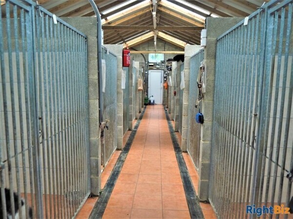 Kennels, Cattery & Equestrian businesses For Sale in Bradford Photo 6