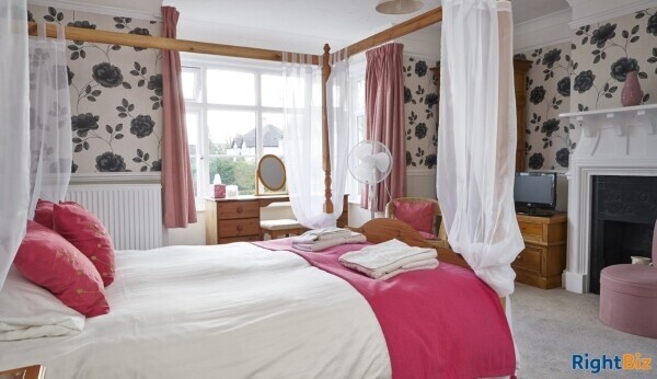 B&B in the Heart of New Forest Photo 6