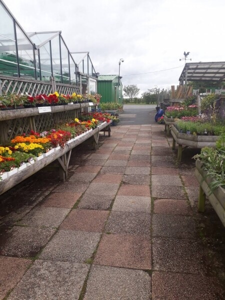 Garden Centre Business With Excellent Reputation Photo 6