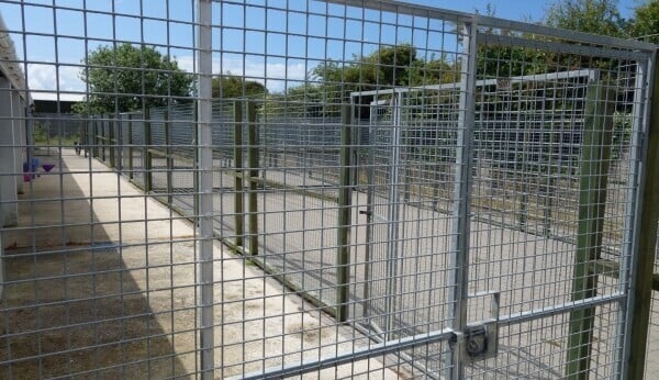 Family Home & Boarding Kennels Licensed For 60 Photo 6