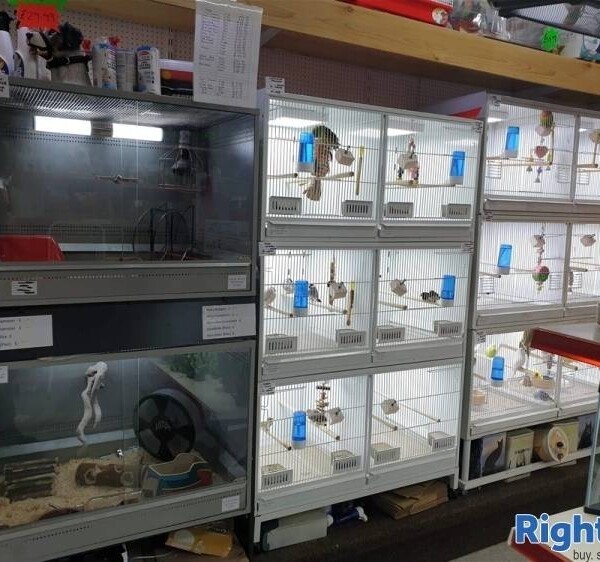 HIGHLY PROFITABLE RETAIL & ONLINE LIVE PETS & SUPPLIES CENTRE NEAR STOKE ON TRENT Photo 6