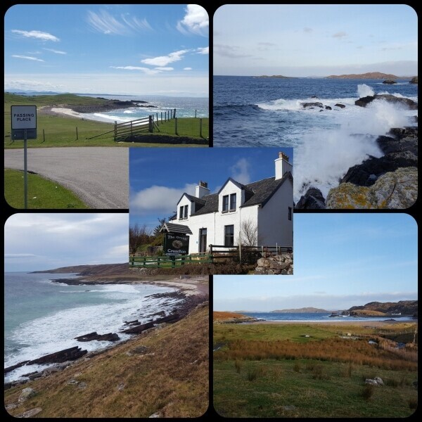 HOLIDAY LET | BED & BREAKFAST | LARGE FAMILY HOME Photo 6