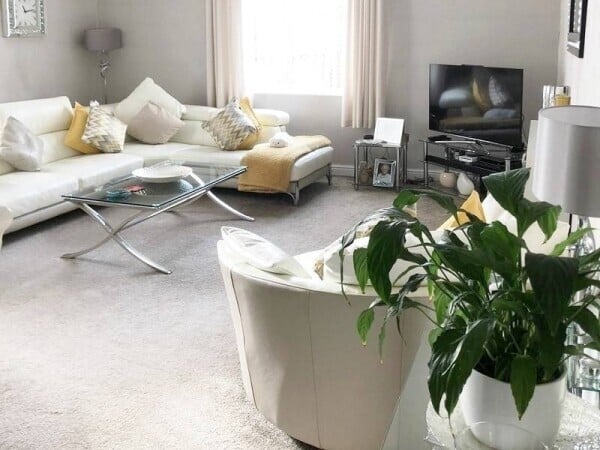 Well-established Domestic Cleaning Business with Accommodation Photo 6