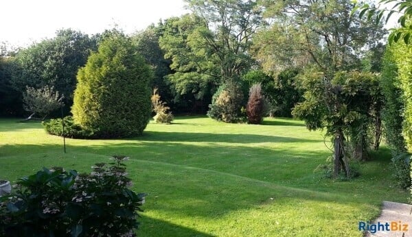 Superb Home & Income - 2 Acres New Forest Photo 6