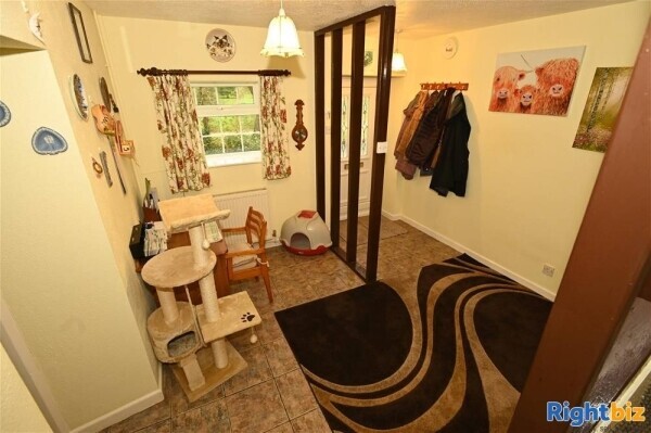 Kennels, Cattery & Equestrian businesses For Sale in Ventnor Photo 6