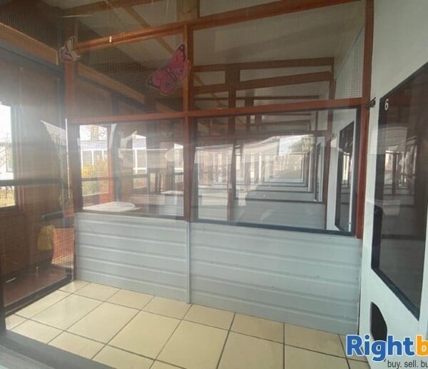 20 Year Established Cattery and Stunning Extensive Family Home Photo 6