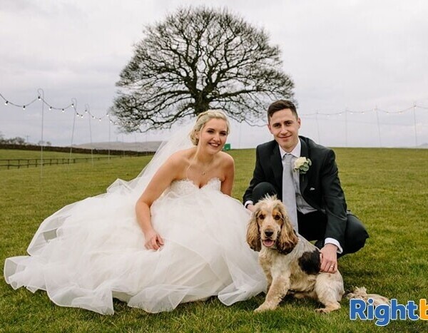 Exciting opportunity to buy an established pet care business in Cardiff Photo 6