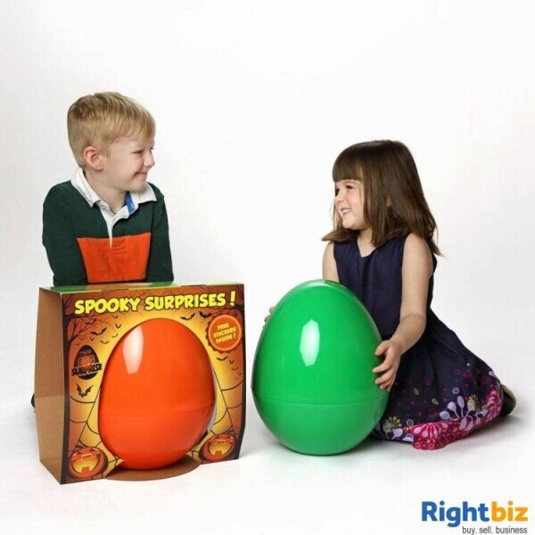 Relocatable E-Commerce Children's Toy Business for Sale Photo 6