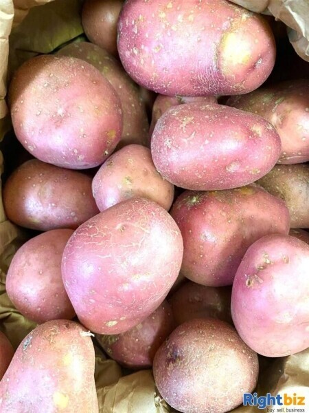 Beautiful high quality local Greengrocers- North Cornwall Photo 6