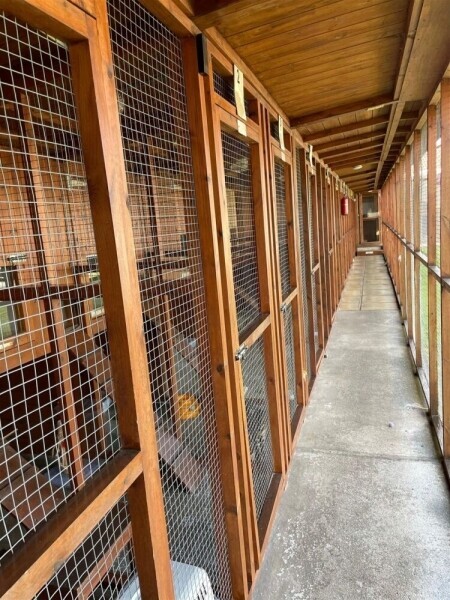 Kennels, Cattery & Equestrian businesses For Sale in Scunthorpe Photo 6