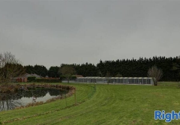 Licensed Boarding Kennels & Cattery - Lincolnshire Photo 4